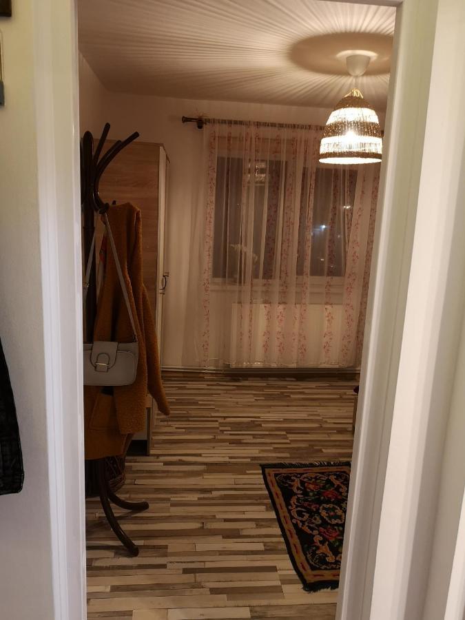 Апартаменты Little Modern Folk Apt Вэлени-де-Мунте Экстерьер фото