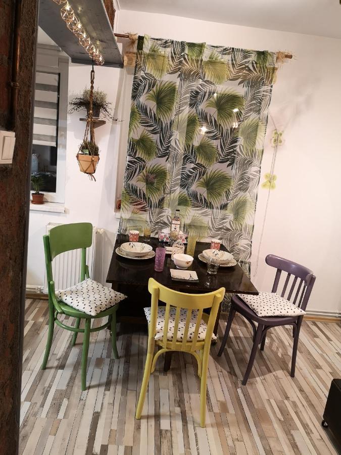 Апартаменты Little Modern Folk Apt Вэлени-де-Мунте Экстерьер фото